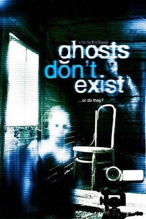 Poster Ghosts Don't Exist (2010)