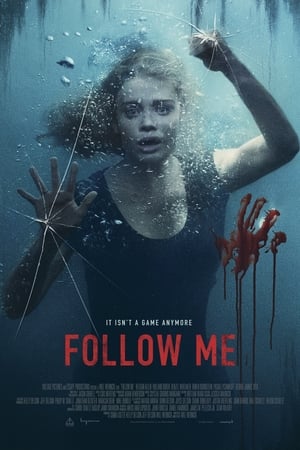 Poster Follow Me 2020