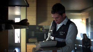 CSI: Crime Scene Investigation: 9×7