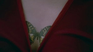 Swallowtail Butterfly