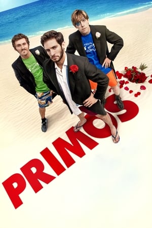 Poster Primos 2011