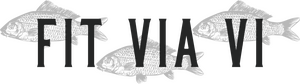 Fit Via Vi
