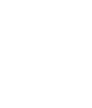 Logo David Treatman Creative