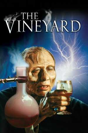 The Vineyard 17