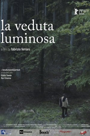 Poster The Luminous View (2021)