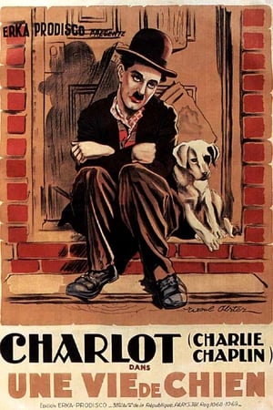 Poster Une vie de chien 1918