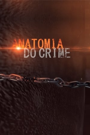 Poster Anatomia do Crime 2017