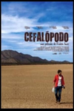Poster Cefalópodo 2010