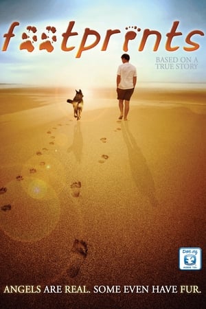 Poster Footprints (2011)