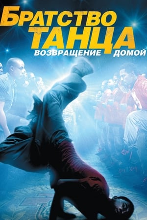 Poster Братство танца: Возвращение домой 2010