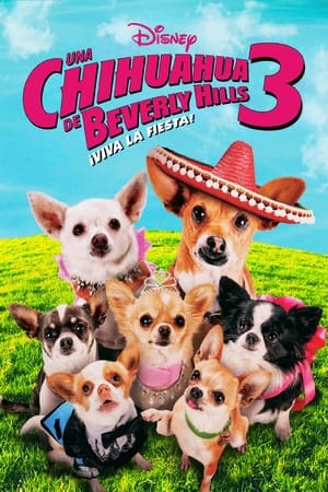 Poster Un chihuahua en Beverly Hills 3: ¡Que viva la fiesta! 2012