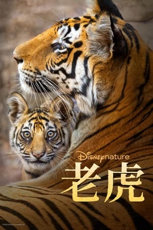 Poster 老虎 2024