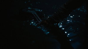 Images posters