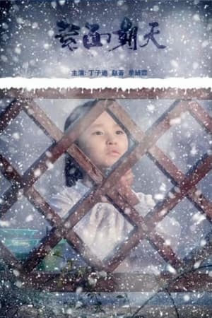 Poster 素面朝天 (2020)
