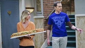 The Big Bang Theory Temporada 9 Capitulo 21