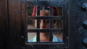 The Roses of Marrakesh 3