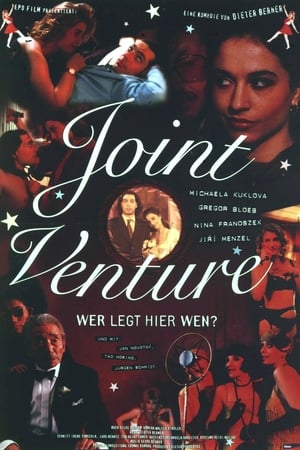 Poster Joint Venture (1995)