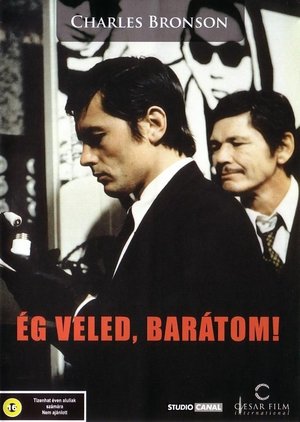 Ég veled, barátom! 1968