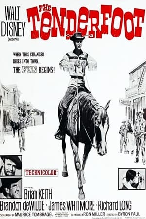 Poster The Tenderfoot (1964)