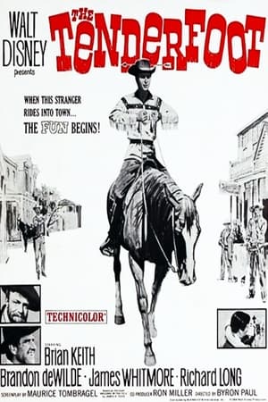 Poster The Tenderfoot 1964