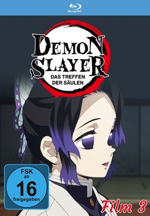 Image Demon Slayer: Das Treffen der Säulen