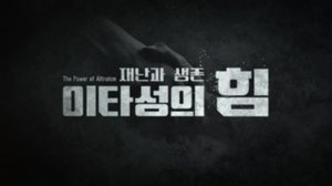 Episode 393