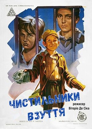 Image Чистильники взуття / Шуша