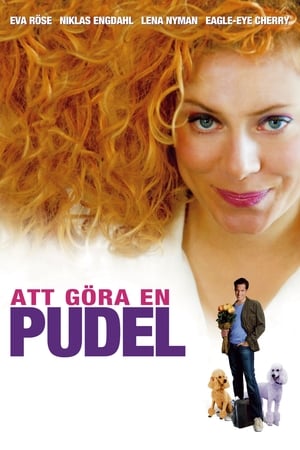 Poster Att göra en pudel 2006