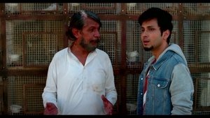TVF Tripling: 2×3
