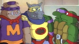 As Tartarugas Ninjas: 4×26