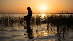 La ragazza della palude