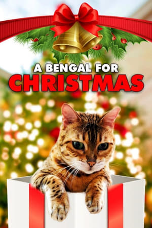 Poster A Bengal for Christmas (2023)
