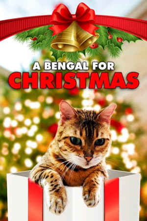 Poster A Bengal for Christmas 2023