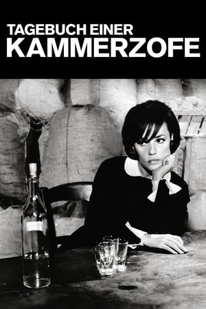 Tagebuch einer Kammerzofe 1964