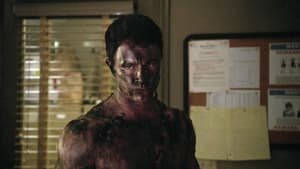 Teen Wolf: 4×9, episod online subtitrat