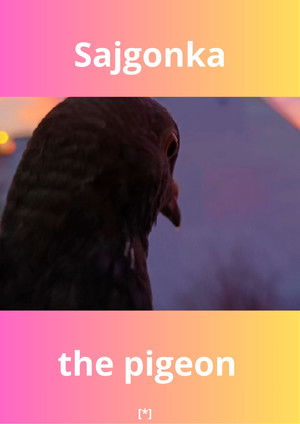 Sajgonka The Pigeon