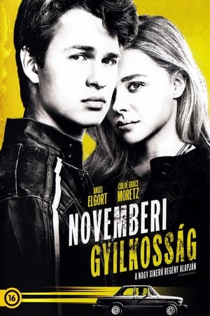 Novemberi gyilkosság