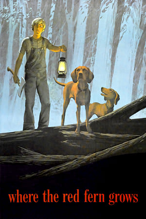 Poster Ahol a vörös páfrány az égig ér 1974