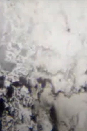 f r e q u e n c y (2017)