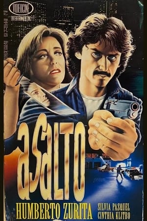 Poster Asalto 1991