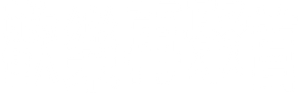 Reboot: El reencuentro — Logos 11