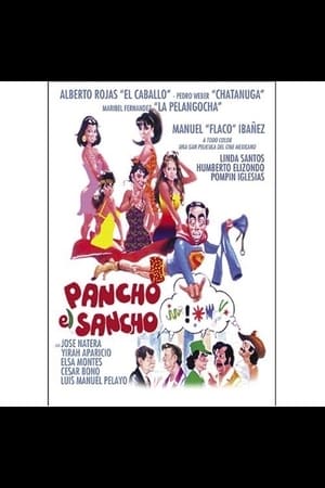 Pancho el Sancho poster