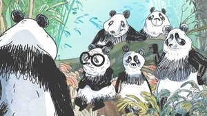 Pandas dans la brume