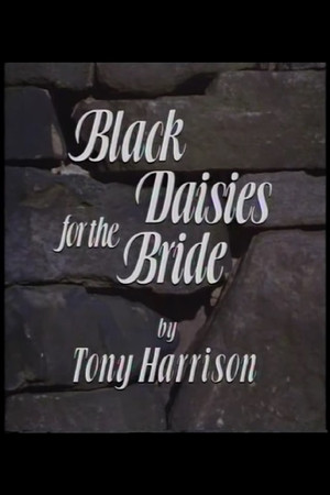 Black Daisies For The Bride 3