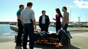 Hawaii 5.0: 2×8