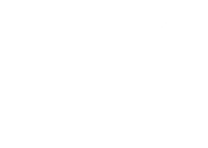 Acampados