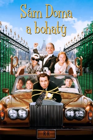 Sám doma a bohatý 1994