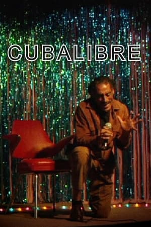 Poster Cubalibre 2014