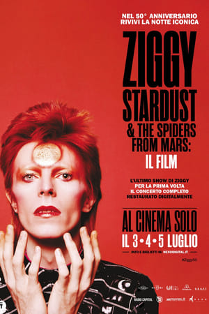 Poster Ziggy Stardust and the Spiders from Mars 1983