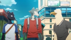 BEASTARS – O Lobo Bom: 1×6